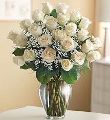 Two Dozen White Roses