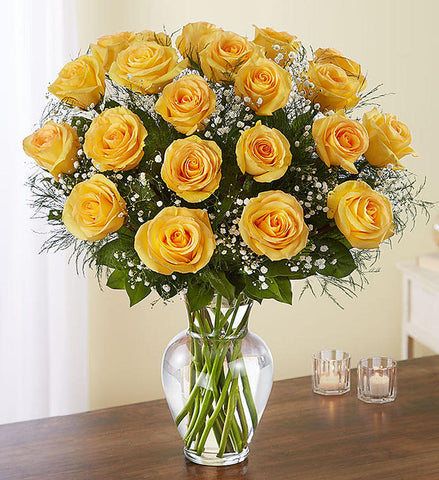 Two Dozen Yellow Roses