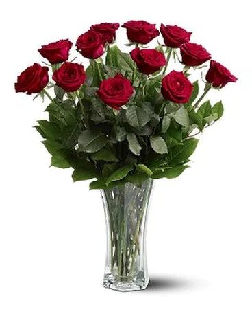 Dozen Long Stem Red Roses