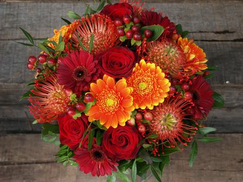 Orange & Fiery