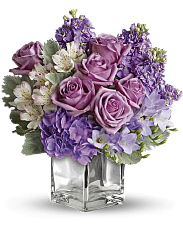 Purple Rain
