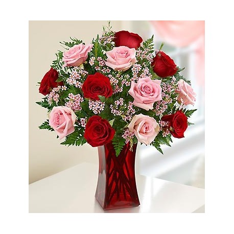 Dozen Red and Pink Roses Mix