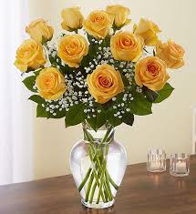 Dozen Long Stem Yellow Roses