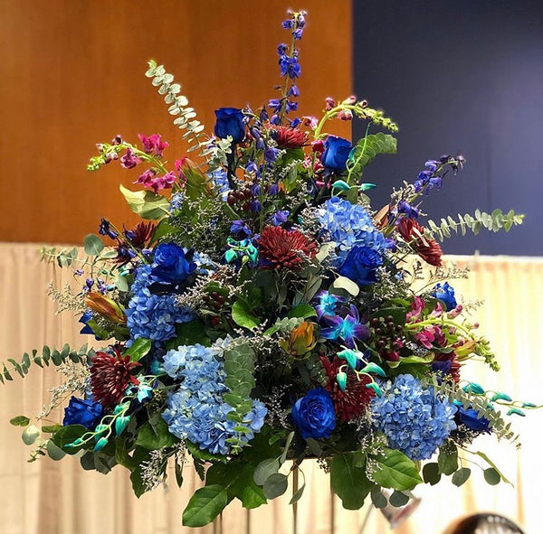 Wild Blue